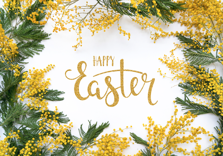 Resurrection. Rebirth. Renewal.