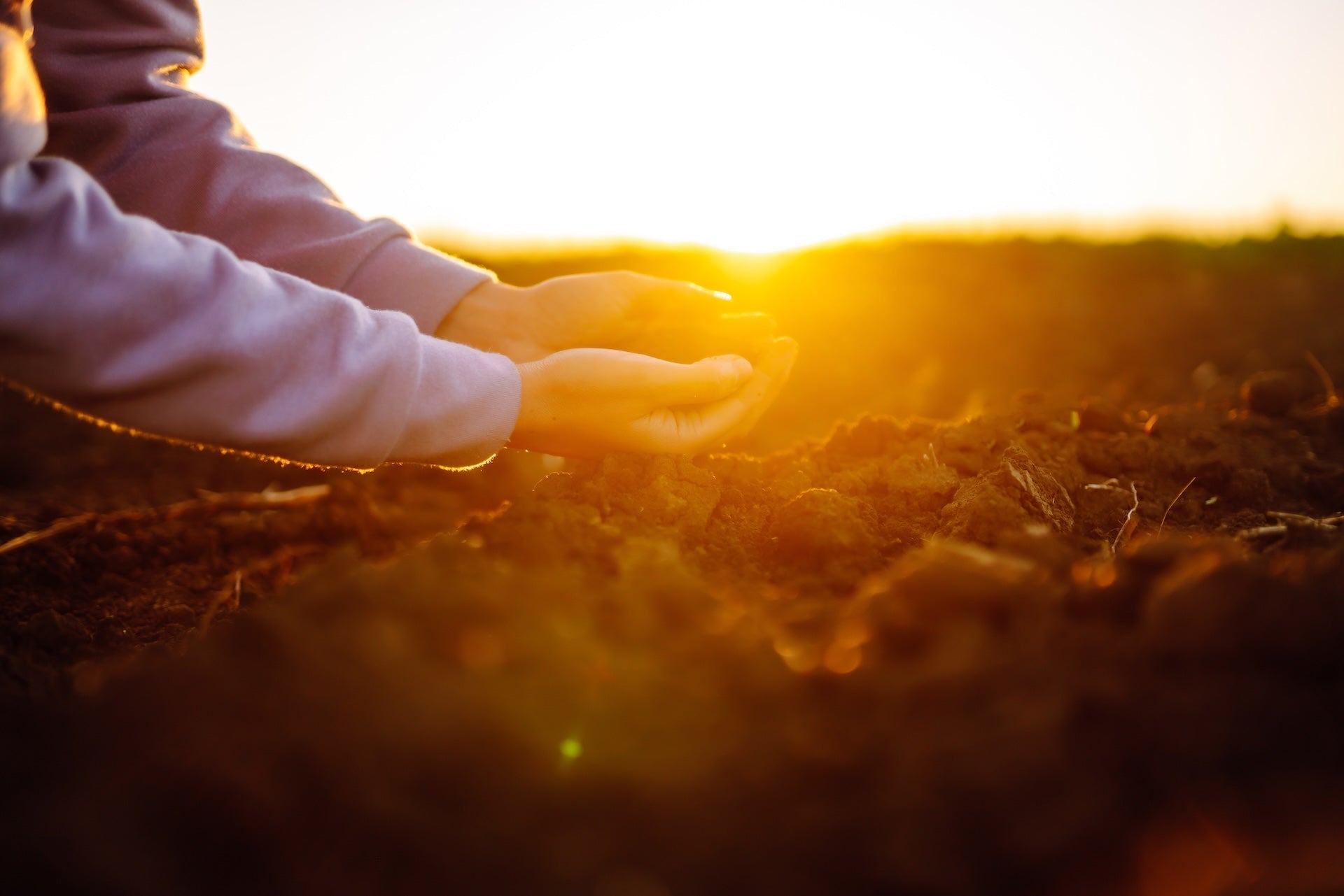 Keep Planting