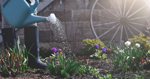 Invest Your Energy Wisely