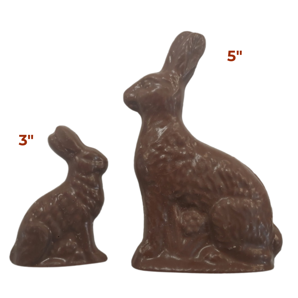 Heavenly Hops – Milk Chocolate Solid Bunny Pair