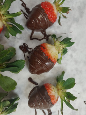 Chocolate Dipped Strawberries 1/2dz
